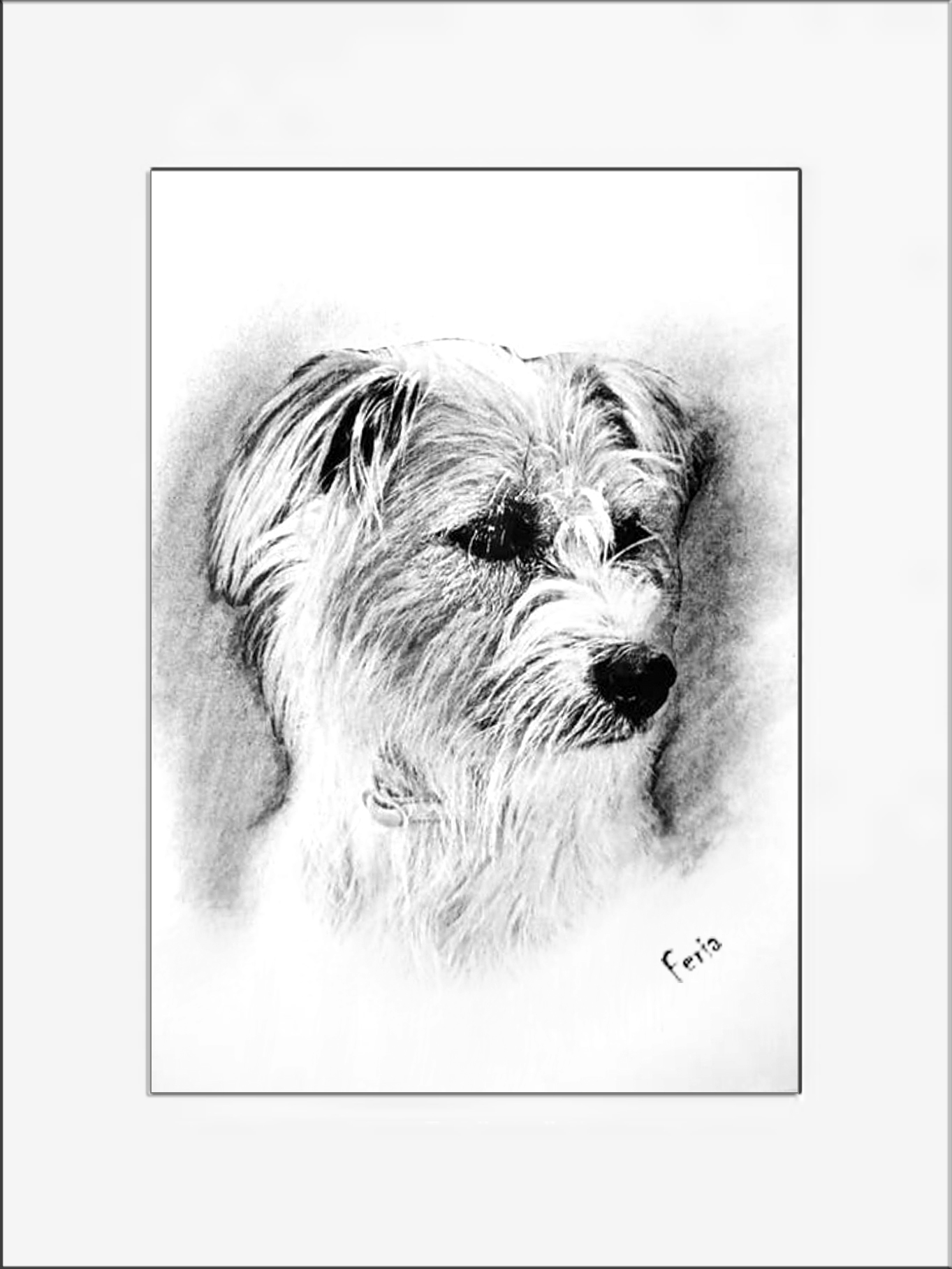 Retrato Carboncillo perro